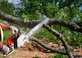 Lawn Irrigation Installation and Maintenance in Oakleaf Plantation, FL